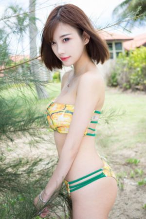 披荆斩棘第4季在线观看